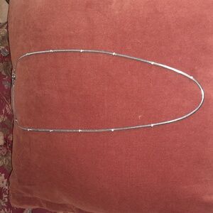 🌺ANN TAYLOR SILVERTONE Necklace